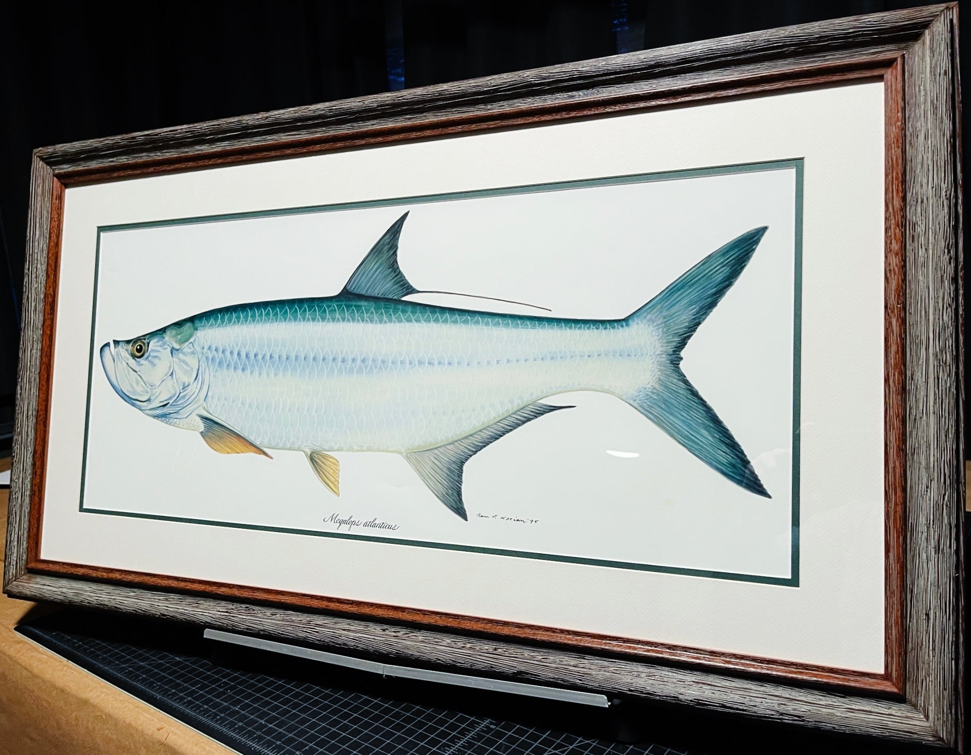 Ben Kocian Tarpon - Texas Sea Center Poster Art Lithograph Quality - Brand New Super Custom Sporting Frame