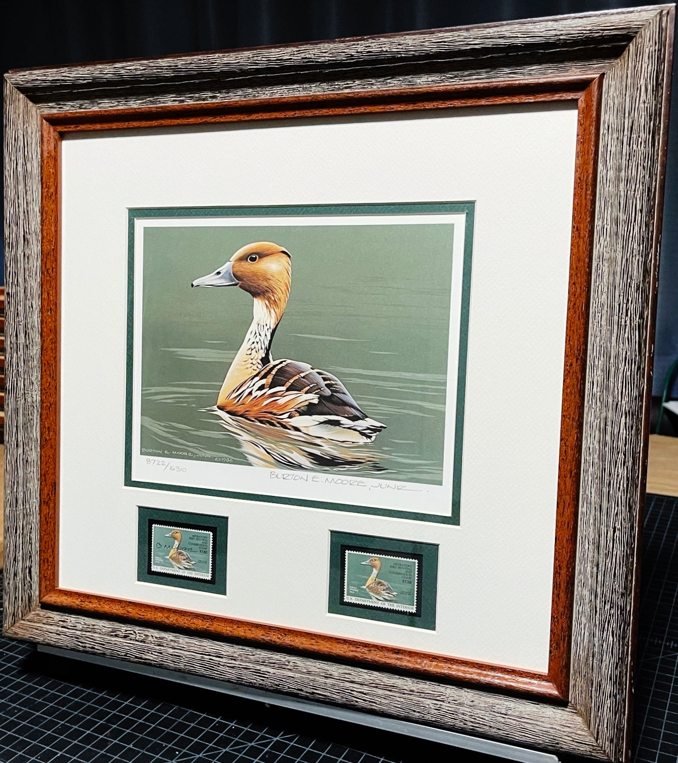 Burton E. Moore 1986 Federal Duck Stamp Print With Double Stamps