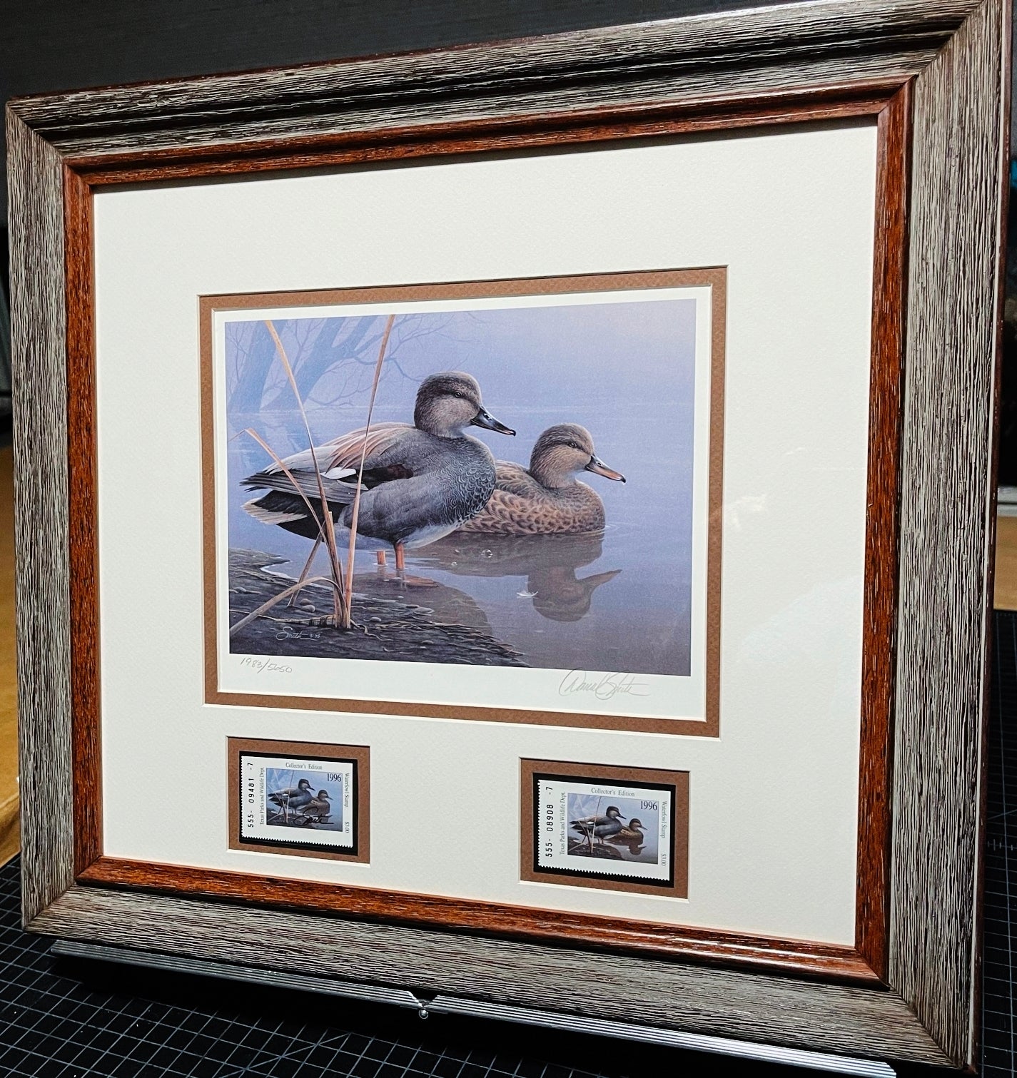 Daniel Smith - 1996 Texas Texas Waterfowl Stamp Print With Double Stamps -  Brand New Custom Sporting Frame