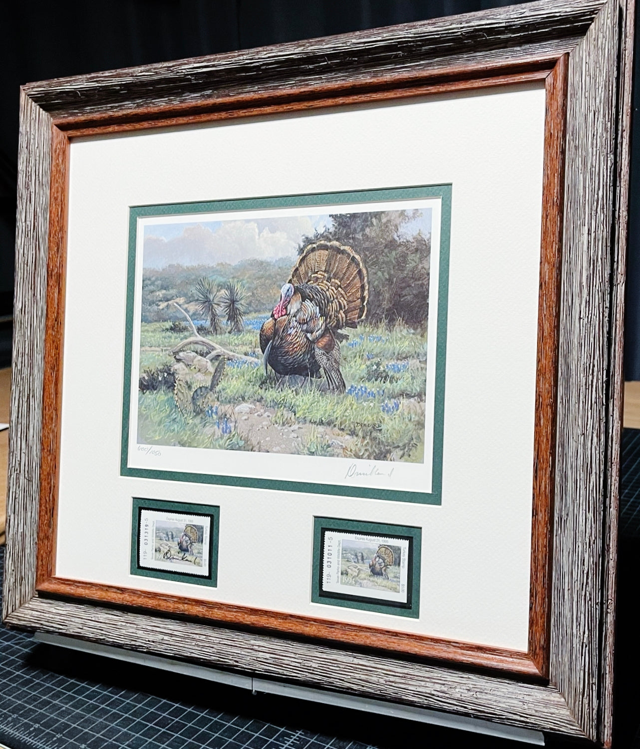 David Drinkard 1994 Texas Turkey Stamp Print With Double Stamps - Brand New Custom Sporting Frame