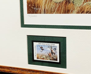 David Maass 1990 First Of The Series Texas Quail Stamp Print With Double Stamps - Brand New Custom Sporting Frame