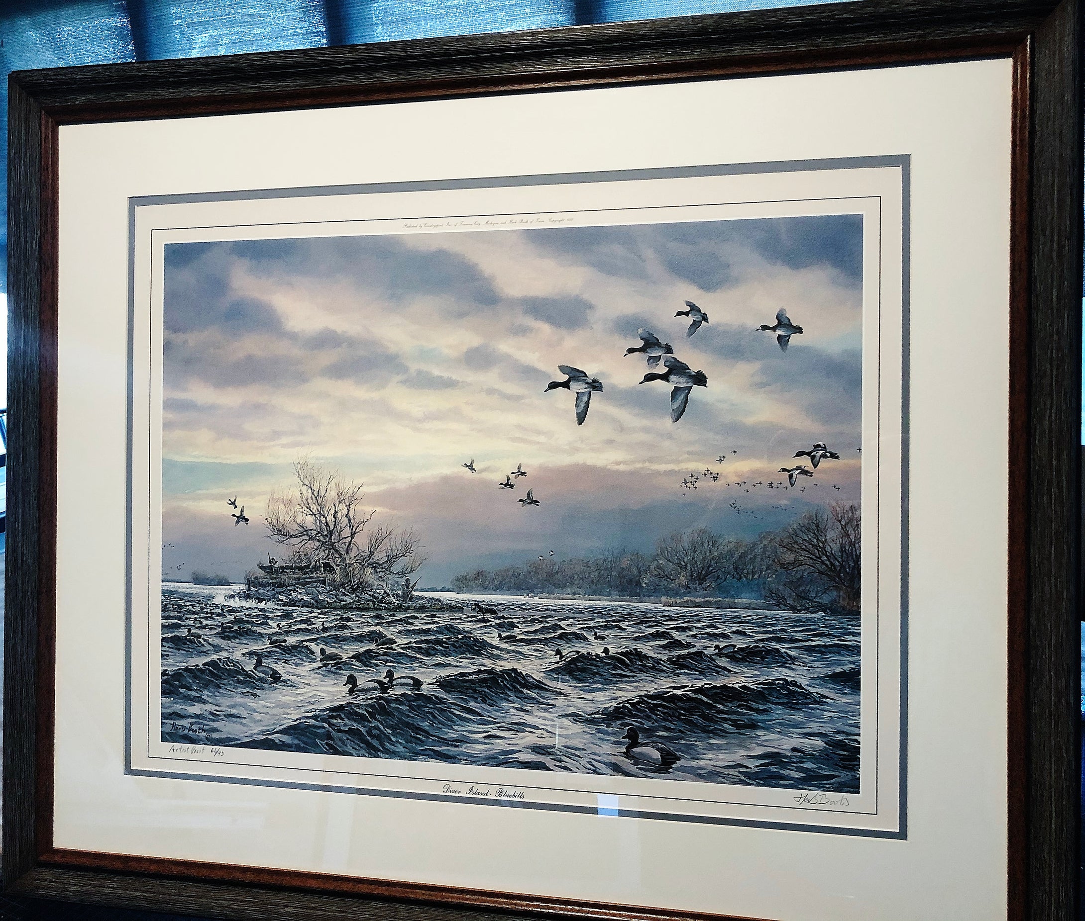 Herb Booth Diver Island Bluebills Lithograph Artist Proof - Brand New Super Custom Sporting Frame