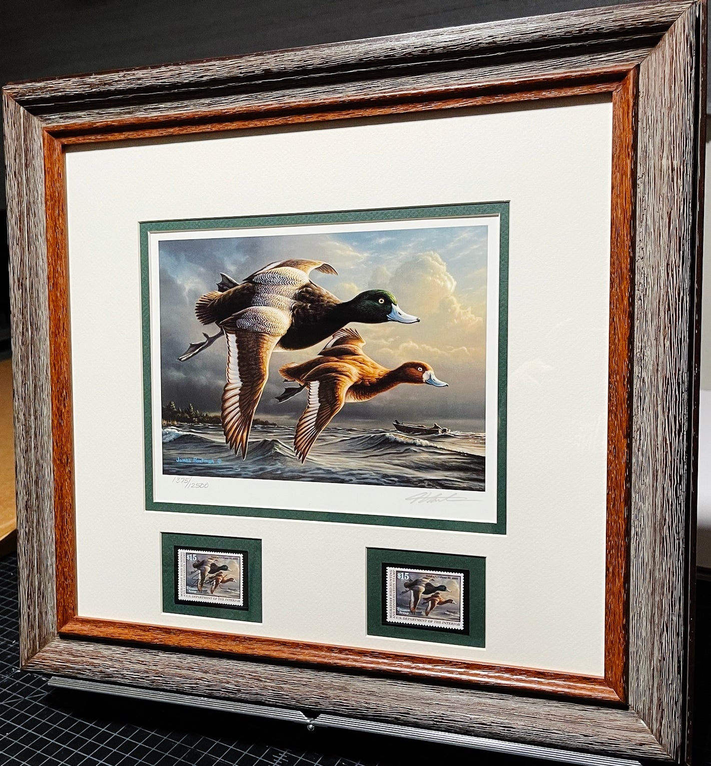 James Hautman 1999 Federal Waterfowl Duck Stamp Print With Double Stamps - Brand New Custom Sporting Frame