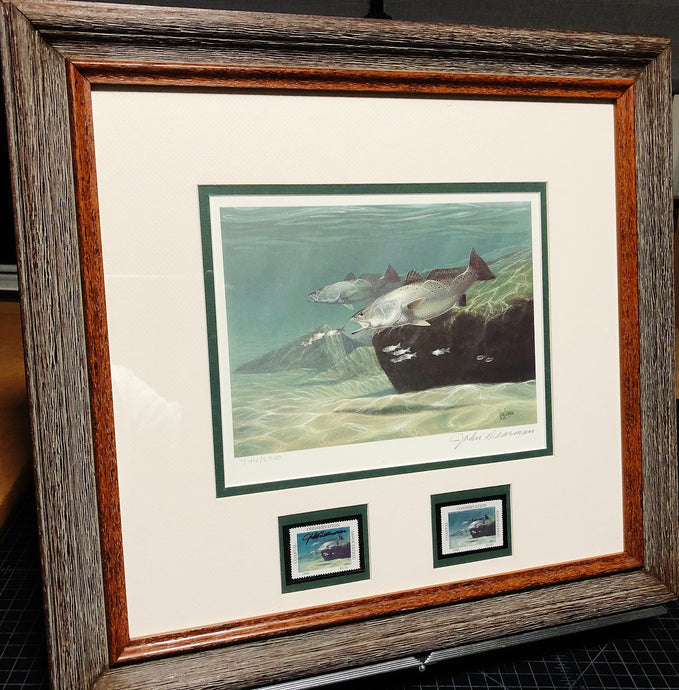 John Dearman 1996 Coastal Conservation CCA Stamp Print With Double Stamps - Brand New Super Custom Sporting Frame