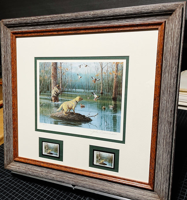 John Dearman 1998 Arkansas Duck Migratory Waterfowl Stamp Print With Double Stamps - AP - Brand New Super Custom Sporting Frame