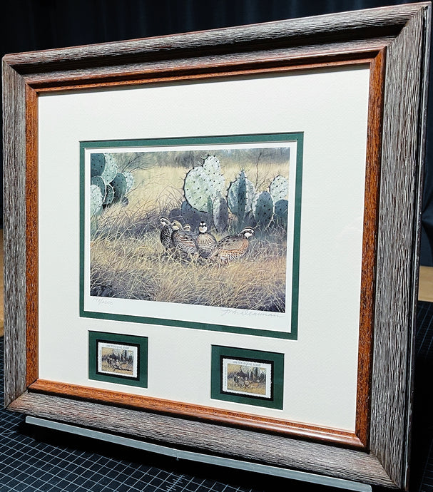 John Dearman 1998 Texas Quail Stamp Print With Double Stamps - Brand New Super Custom Sporting Frame