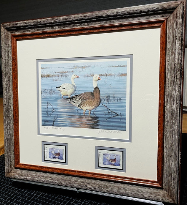 John Dearman 2001 Texas Waterfowl Duck Stamp Print With Double Stamps Artist Proof - Brand New Super Custom Sporting Frame