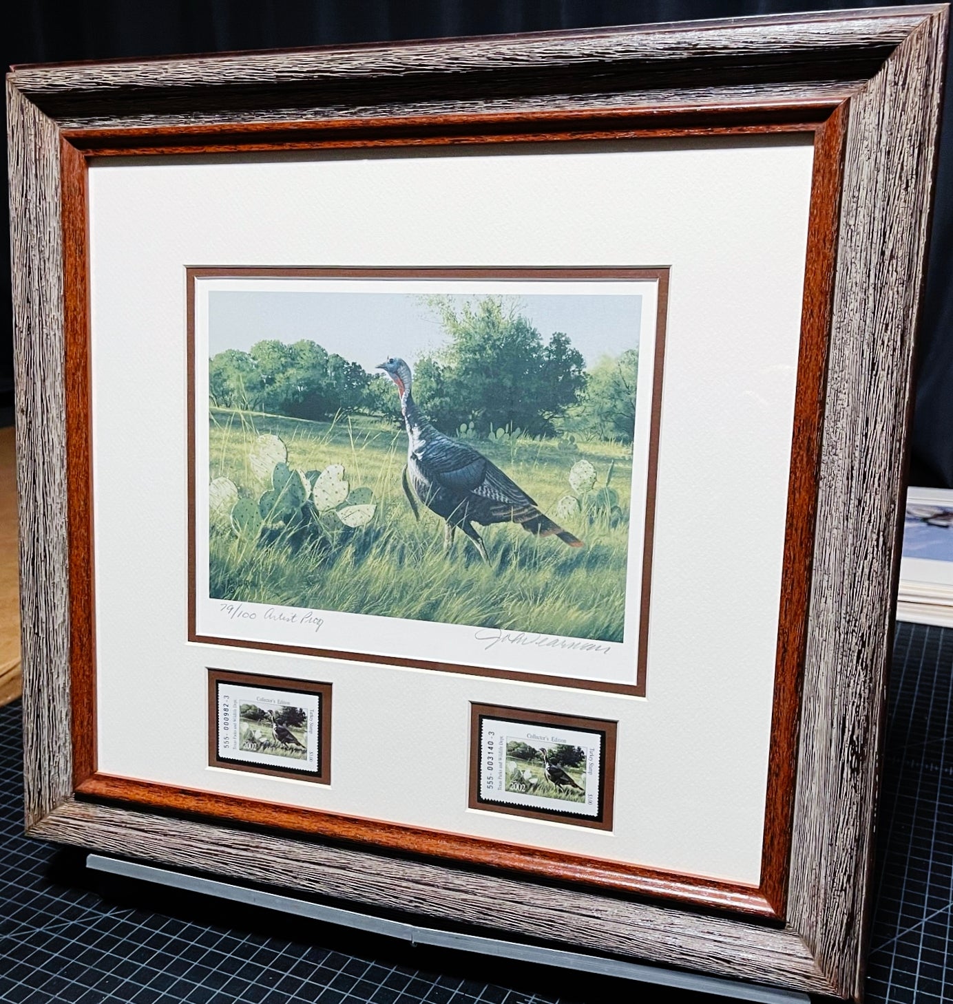 John Dearman 2002 Texas Turkey Stamp Print With Double Stamps - Artist Proof - Rio Grande Gobbler With Double Stamps - Brand New Custom Sporting Frame