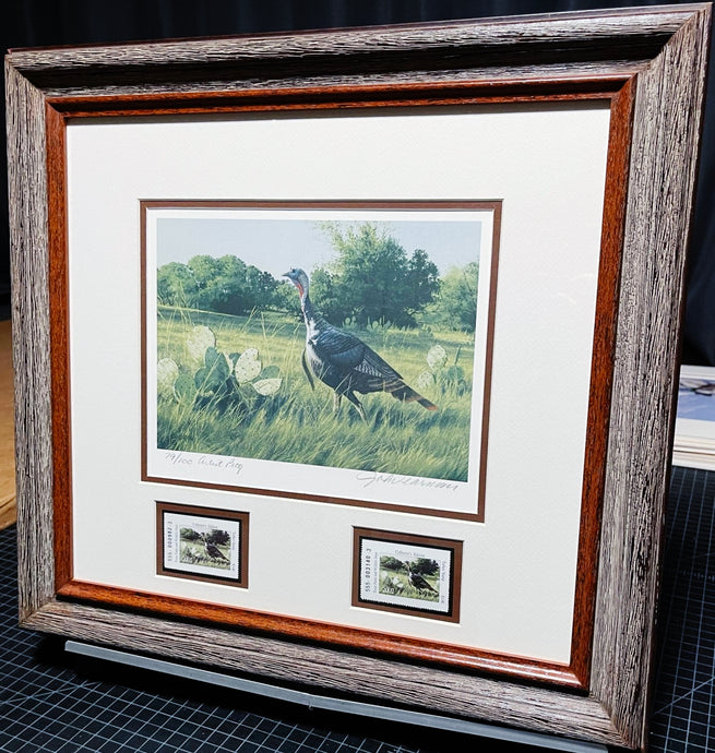 John Dearman 2002 Texas Turkey Stamp Print With Double Stamps - Artist Proof - Rio Grande Gobbler With Double Stamps - Brand New Super Custom Sporting Frame