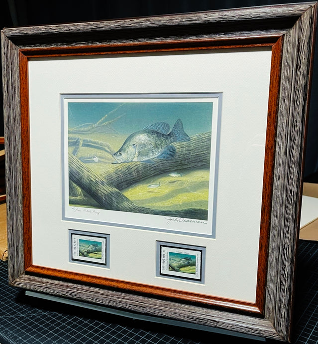 John Dearman 2005 Texas Freshwater Stamp Print With Double Stamps - Artist Proof - Brand New Super Custom Sporting Frame