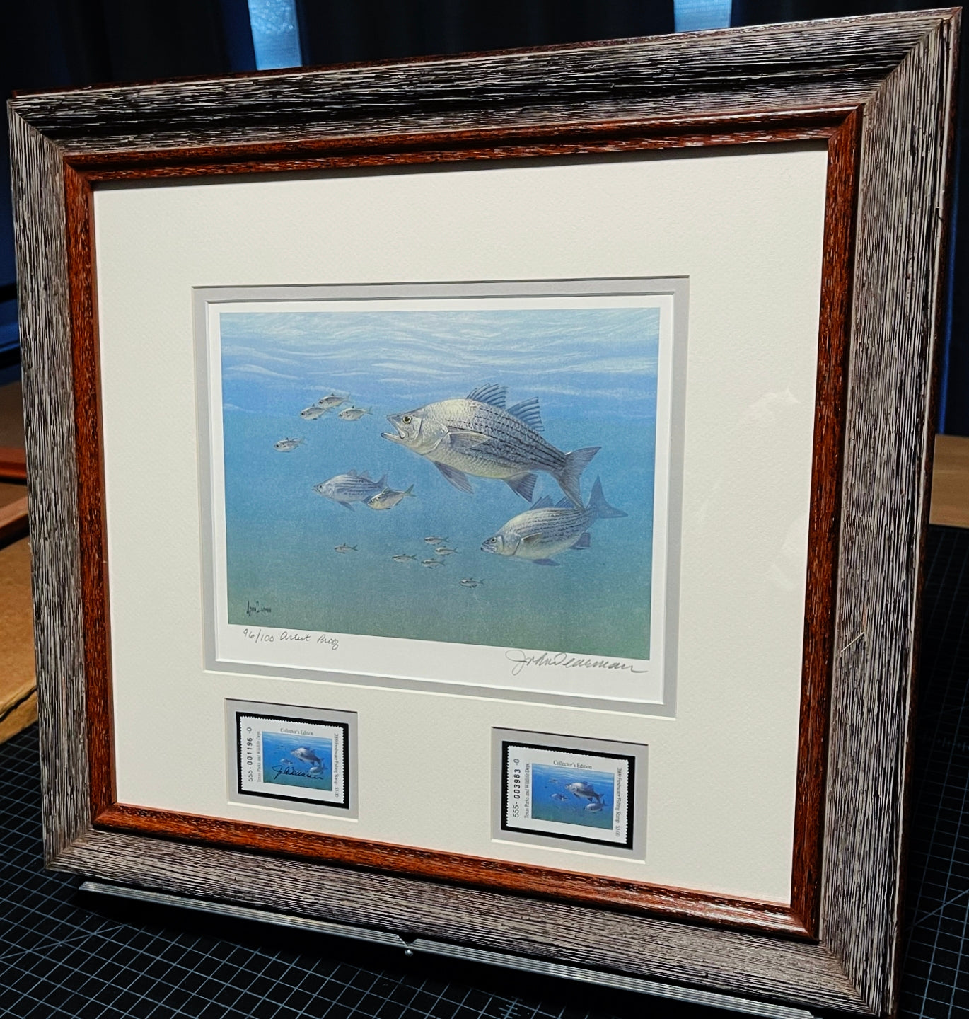 John Dearman 2009 Texas Freshwater Stamp Print With Double Stamps - Artist Proof - Brand New Custom Sporting Frame