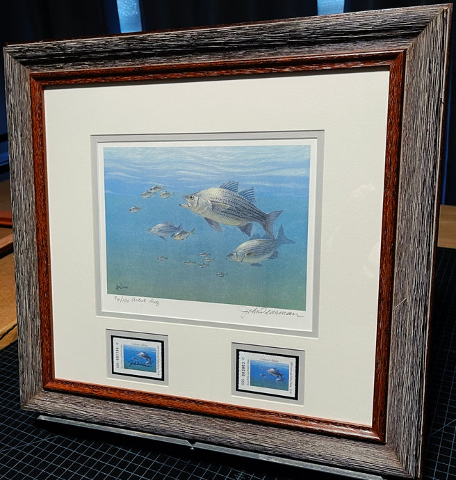 John Dearman 2009 Texas Freshwater Stamp Print With Double Stamps - Artist Proof - Brand New Super Custom Sporting Frame