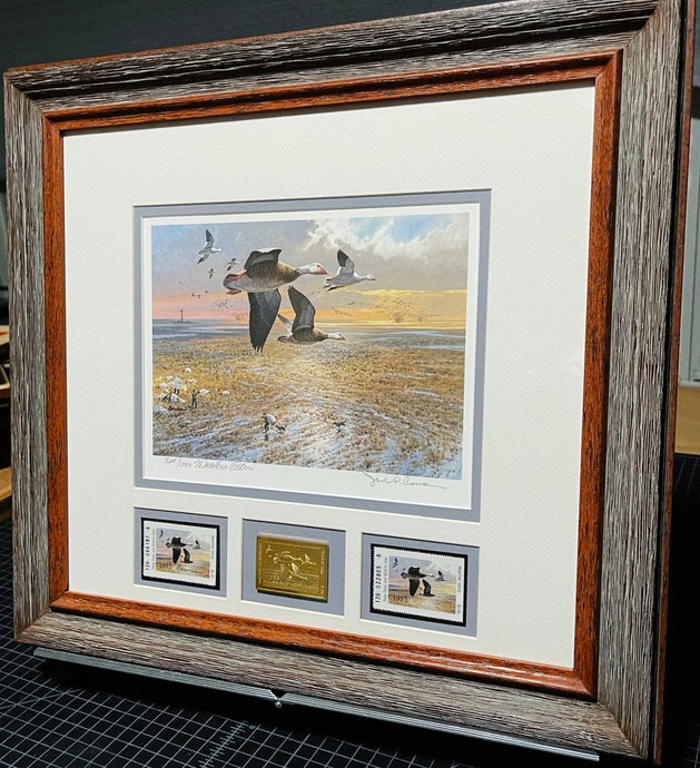 John P. Cowan 1985 Texas Waterfowl Duck Stamp Print Gold Medallion Edition With Double Stamps - Brand New Custom Sporting Frame