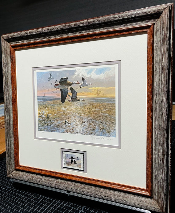 John P. Cowan 1985 Texas Waterfowl Duck Stamp Print With Stamp - Brand New Super Custom Sporting Frame  ***  CHRISTMAS SPECIAL  ***