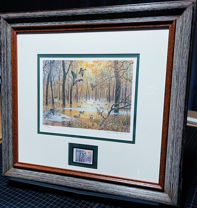 John P. Cowan 1986 Arkansas Duck Stamp Print With Stamp - Brand New Custom Sporting Frame