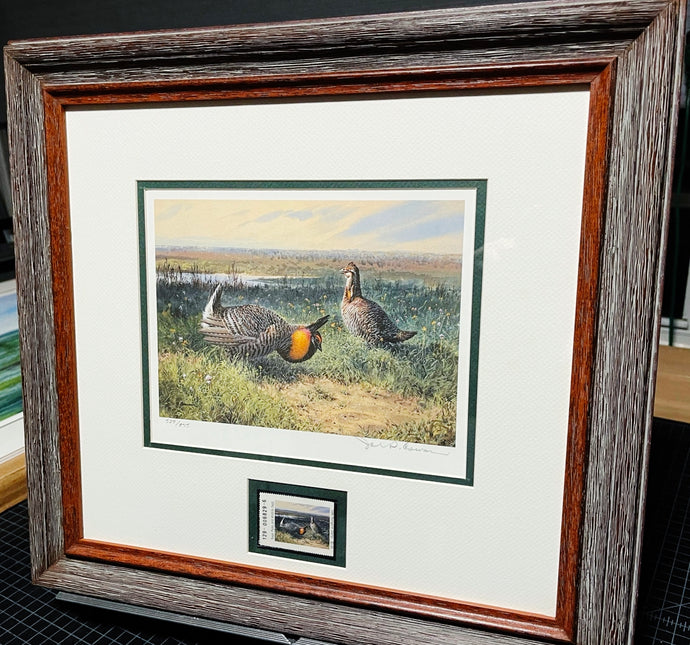 John P. Cowan 1986 Texas Non-Game Stamp Print With Stamp - Brand New Custom Sporting Frame