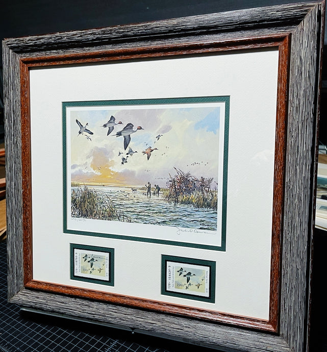 John P. Cowan 1988 Texas Waterfowl Duck Stamp Print With Double Stamps - Brand New Custom Sporting Frame