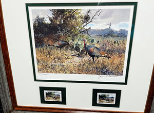 John P. Cowan 1988 Texas Wild Turkey Stamp Print With Double Stamps - Brand New Custom Sporting Frame