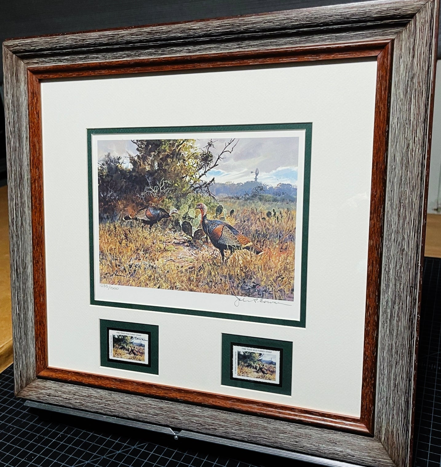 John P. Cowan 1988 Texas Wild Turkey Stamp Print With Double Stamps - Brand New Custom Sporting Frame