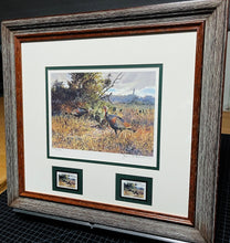 Load image into Gallery viewer, John P. Cowan 1988 Texas Wild Turkey Stamp Print With Double Stamps - Brand New Custom Sporting Frame