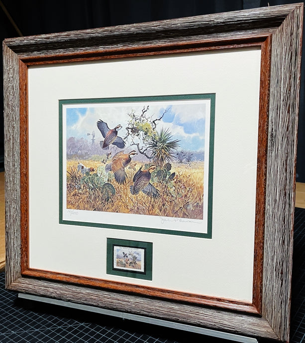 John P. Cowan 1991 Texas Quail Stamp Print With Stamp - Brand New Custom Sporting Frame