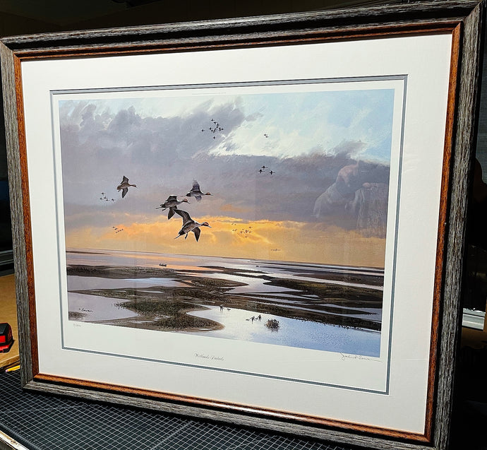 John P. Cowan Wetlands Pintails Lithograph AP Year 2001 - Brand New Custom Sporting Frame