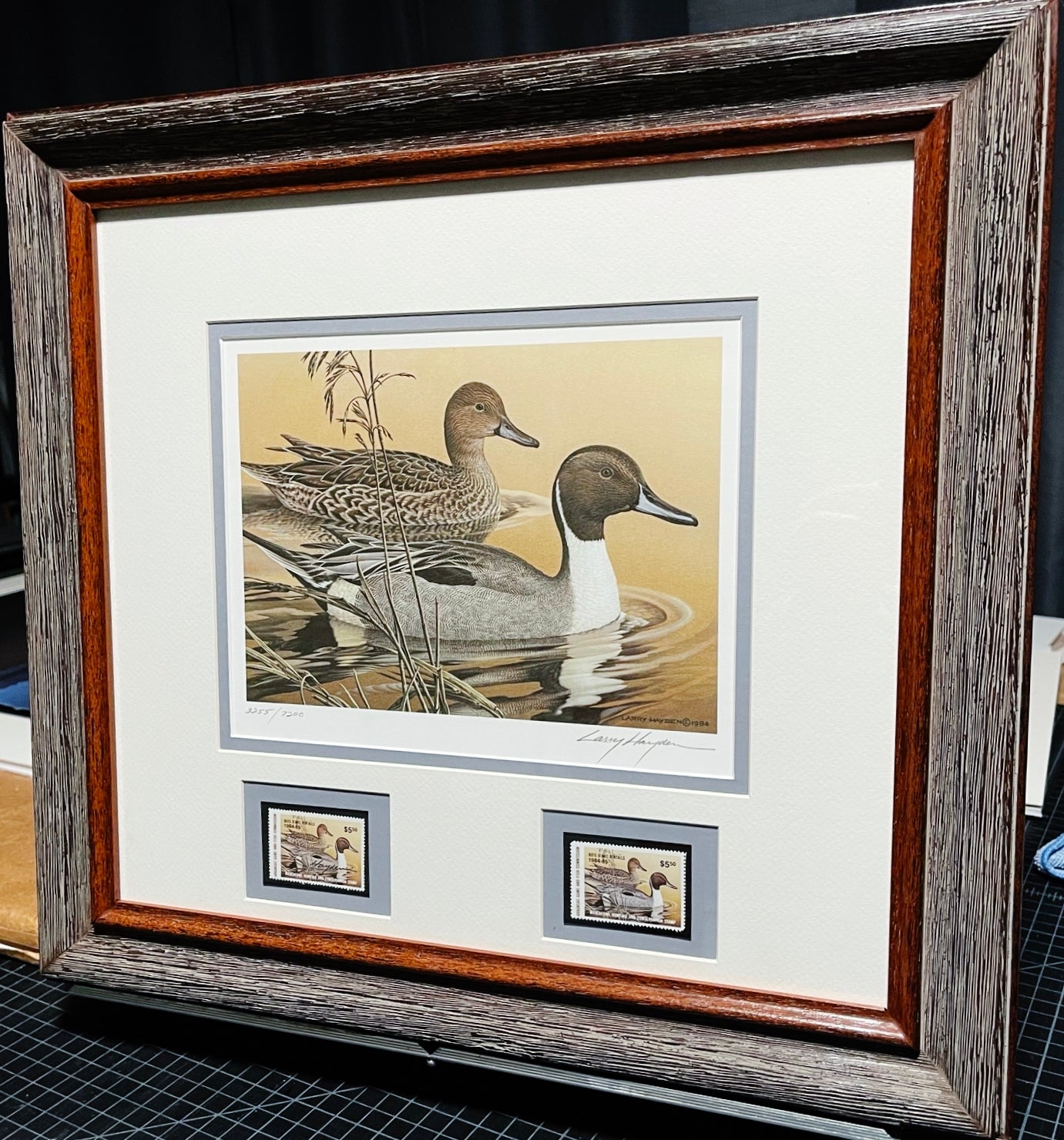 Larry Hayden 1984 Arkansas Waterfowl Hunting And Conservation