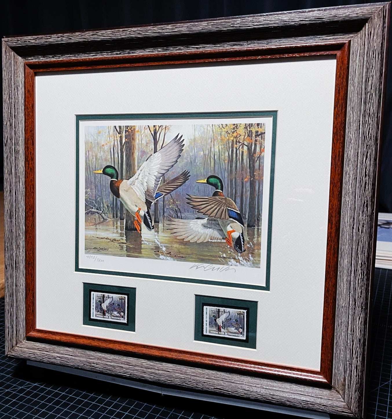 Ken Carlson 1985 Arkansas Waterfowl Hunting And Conservation Stamp