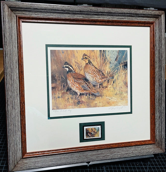 Ken Carlson 1997 Texas Quail Stamp Print With Stamp - Brand New Super Custom Sporting Frame