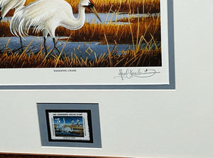 Les Kouba 1982 National Endangered Species Society Stamp Print With Stamp - Brand New Custom Sporting Frame