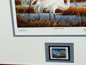 Les Kouba 1982 National Endangered Species Society Stamp Print With Stamp - Brand New Custom Sporting Frame