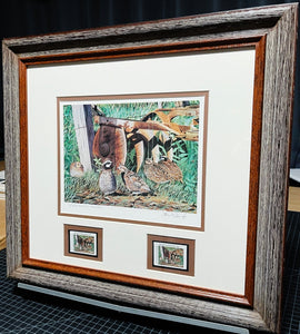 Les McDonald 2002 Quail Unlimited Stamp Print With Double Stamps - Brand New Custom Sporting Frame