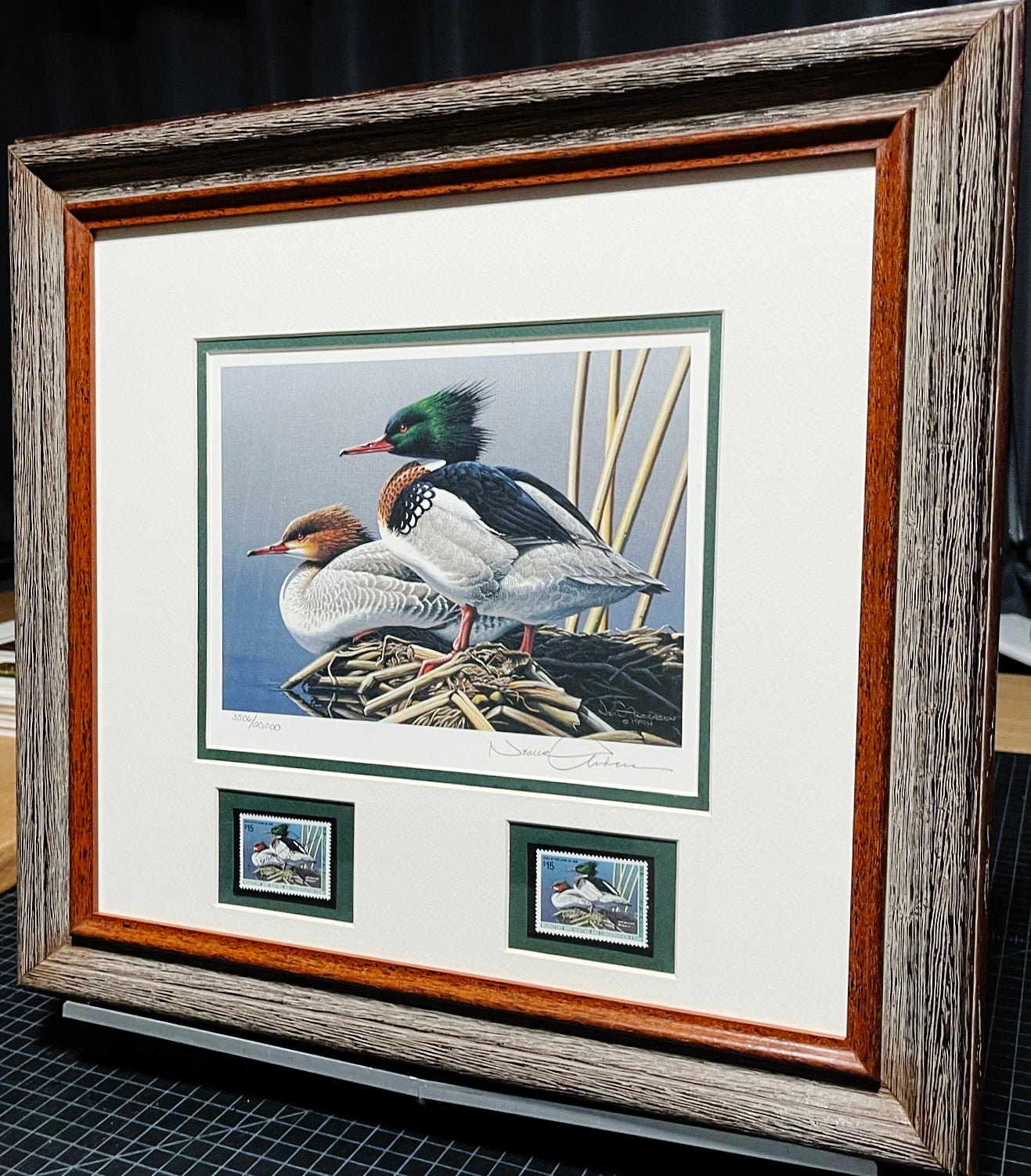 Neal Anderson 1994 Federal Duck Stamp Print With Double Stamps