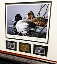 Load image into Gallery viewer, Neal Anderson 1989 Federal Duck Stamp Print Gold Medallion Edition With Double Stamps - Swimming Scaup Ducks - Brand New Custom Sporting Frame