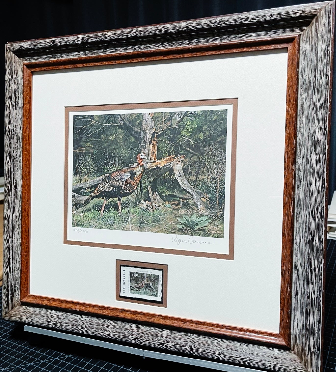 Ragan Gennusa 1993 Texas Turkey Stamp Print With Stamp - Brand New Custom Sporting Frame