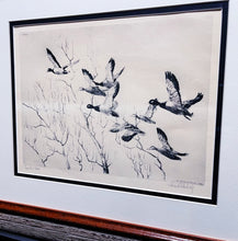 Load image into Gallery viewer, Richard Bishop Through The Willow&#39;s 1936 - Dry-Point Etching Print Year 1936 - Greenhead Mallards Flying - Brand New Custom Sporting Frame