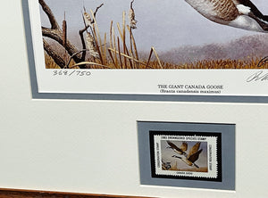 Richard Plasschaert 1983 National Endangered Species Society Stamp Print With Stamp - Brand New Super Custom Sporting Frame