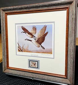 Richard Plasschaert 1983 National Endangered Species Society Stamp Print With Stamp - Brand New Super Custom Sporting Frame