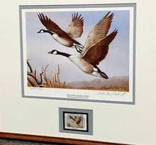 Load image into Gallery viewer, Richard Plasschaert 1983 National Endangered Species Society Stamp Print With Stamp - Brand New Super Custom Sporting Frame