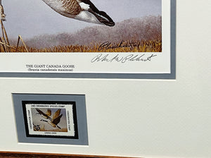 Richard Plasschaert 1983 National Endangered Species Society Stamp Print With Stamp - Brand New Super Custom Sporting Frame