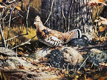 Load image into Gallery viewer, Robert Abbett 1982 The Ruffed Grouse Society Conservation Stamp Print With Stamp - Brand New Custom Sporting Frame