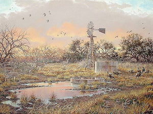 Herb Booth Texas Oasis Lithograph - Brand New Custom Sporting Frame